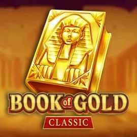 Book of Gold Classic logo by Playson at Casina Casino